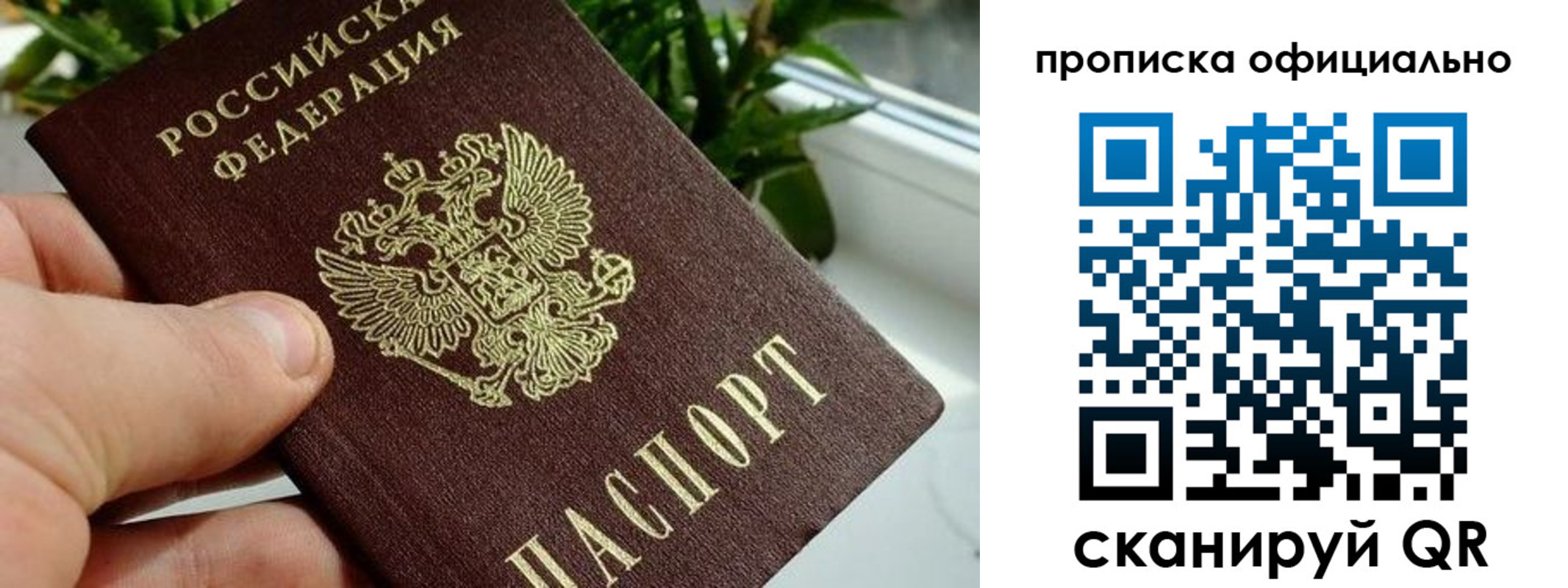 прописка поиск в Агрызе